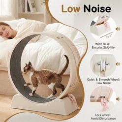 Winado Round PP Track Exercise Wheel & Balls Cat Toy with Gray Carpet & Wand, 31.5 x 13.4 x 33.9-in, White slide 2 of 9