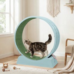 Winado Round PP Track Exercise Wheel & Balls Cat Toy with Green Carpet & Wand, 31.5 x 13.4 x 33.9-in, Blue slide 2 of 9