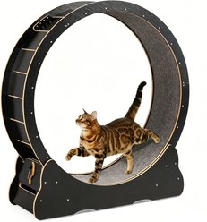 Winado Solid Wood Exercise Wheel & Balls Cat Treadmill Toy with Track, Black
