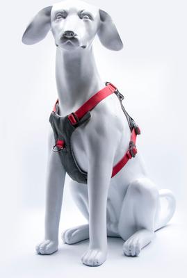 Show full view: Wingo Outdoors Monty Dog Harness, Baja Bars, Large: 32 to 44-in chest slide 3 of 6