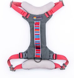 Wingo Outdoors Monty Dog Harness, Baja Bars, Small: 18 to 26-in chest