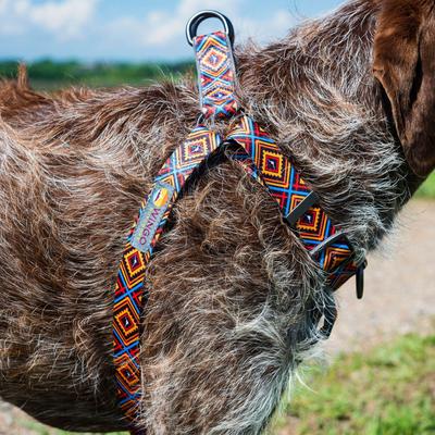 Show full view: Wingo Outdoors Suzie Dog Harness, Brown Trout, Small: 18 to 26-in chest, 1-inch wide webbing slide 5 of 6