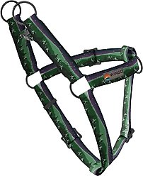 Wingo Outdoors Suzie Dog Harness, Constellations, Medium: 24 to 34-in chest, 1-inch wide webbing
