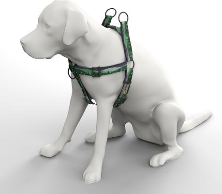 Show full view: Wingo Outdoors Suzie Dog Harness, Constellations, Medium: 24 to 34-in chest, 1-inch wide webbing slide 3 of 6