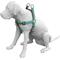 Show in main carousel: Wingo Outdoors Suzie Dog Harness, Grand Teton, Large: 32 to 44-in chest, 1-inch wide webbing slide 3 of 6