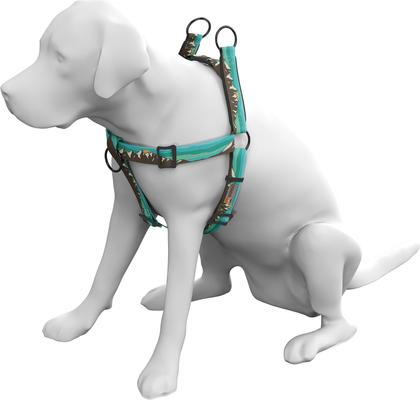 Show full view: Wingo Outdoors Suzie Dog Harness, Grand Teton, Large: 32 to 44-in chest, 1-inch wide webbing slide 3 of 6