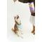 Show in main carousel: Winnie Lou Berry Boost Bones Crunchy Dog Treats, 4-oz bag slide 5 of 5