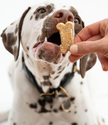 Show full view: Winnie Lou Celebration Cookies Crunchy Dog Treats, 4-oz bag slide 4 of 5