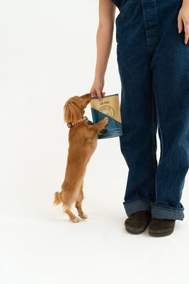 Show full view: Winnie Lou Elk Jerky Dog Treats, 2.5-oz bag slide 5 of 5