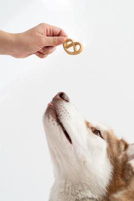 Show full view: Winnie Lou Greens & Cheddar Pretzels Crunchy Dog Treats, 4-oz bag slide 5 of 5