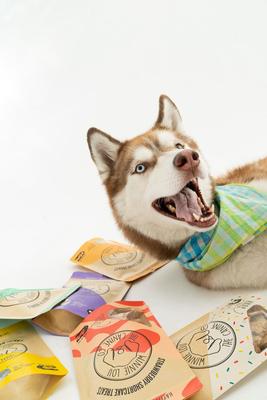 Show full view: Winnie Lou Strawberry Shortcake Crunchy Dog Treats, 4-oz bag slide 6 of 6