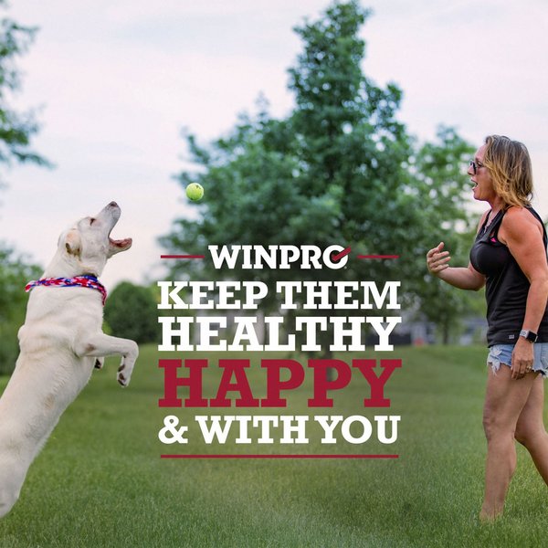 WINPRO Pet Health & Wellness Small Dog Supplement, 60 count
