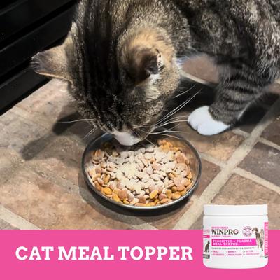 Show full view: WINPRO Pet Probiotic + Plasma Meal Topper Powder Supplement for Cats, 4.23-oz jar slide 7 of 7