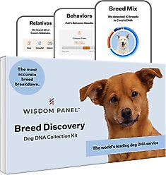 Wisdom Panel Breed Discovery Breed Identification DNA Test for Dogs