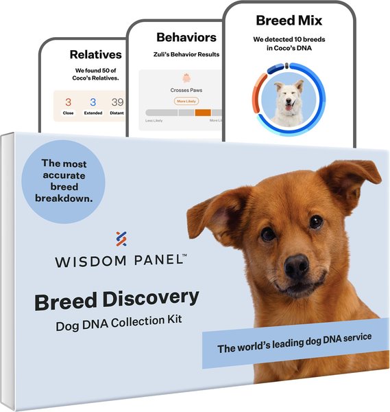 Show full view: Wisdom Panel Breed Discovery Breed Identification DNA Test for Dogs slide 1 of 7