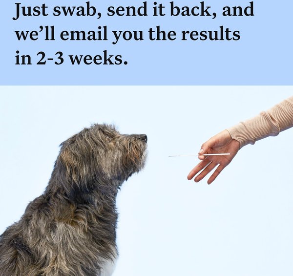 Show full view: Wisdom Panel Breed Discovery Breed Identification DNA Test for Dogs slide 5 of 7