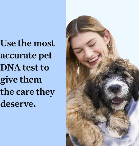 Show full view: Wisdom Panel Breed Discovery Breed Identification DNA Test for Dogs slide 3 of 7