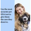 Show in main carousel: Wisdom Panel Breed Discovery Breed Identification DNA Test for Dogs slide 3 of 7