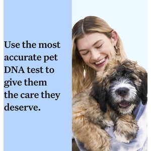 Wisdom Panel Breed Discovery Breed Identification DNA Test for Dogs
