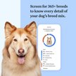 Show in main carousel: Wisdom Panel Breed Discovery Breed Identification DNA Test for Dogs slide 2 of 7