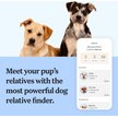 Show in main carousel: Wisdom Panel Breed Discovery Breed Identification DNA Test for Dogs slide 4 of 7