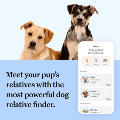 Show full view: Wisdom Panel Breed Discovery Breed Identification DNA Test for Dogs slide 5 of 8