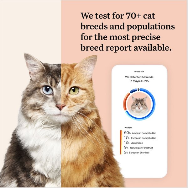 Show full view: Wisdom Panel Complete Cat DNA Test slide 3 of 9