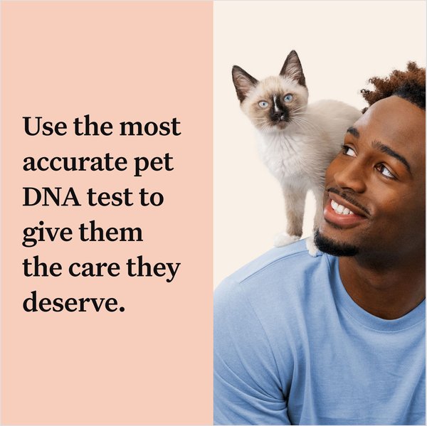 Show full view: Wisdom Panel Complete Cat DNA Test slide 4 of 9