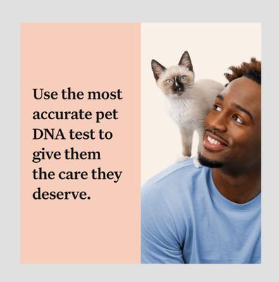 Show full view: Wisdom Panel Complete Cat DNA Test slide 5 of 10
