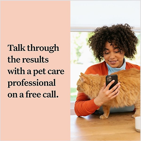 Show full view: Wisdom Panel Complete Cat DNA Test slide 6 of 9