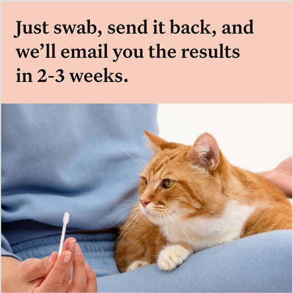 Show full view: Wisdom Panel Complete Cat DNA Test slide 7 of 9