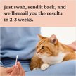 Show in main carousel: Wisdom Panel Complete Cat DNA Test slide 7 of 9
