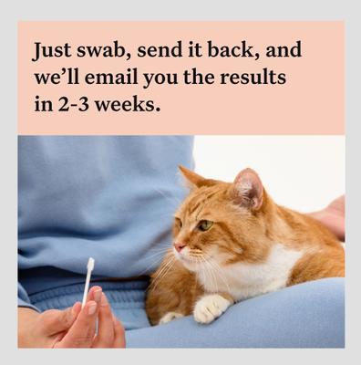 Show full view: Wisdom Panel Complete Cat DNA Test slide 8 of 10