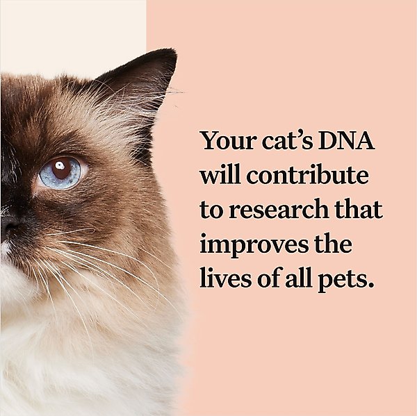 Show full view: Wisdom Panel Complete Cat DNA Test slide 8 of 9