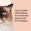 Show in main carousel: Wisdom Panel Complete Cat DNA Test slide 8 of 9