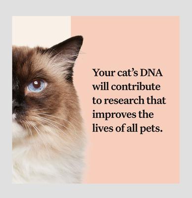Show full view: Wisdom Panel Complete Cat DNA Test slide 9 of 10