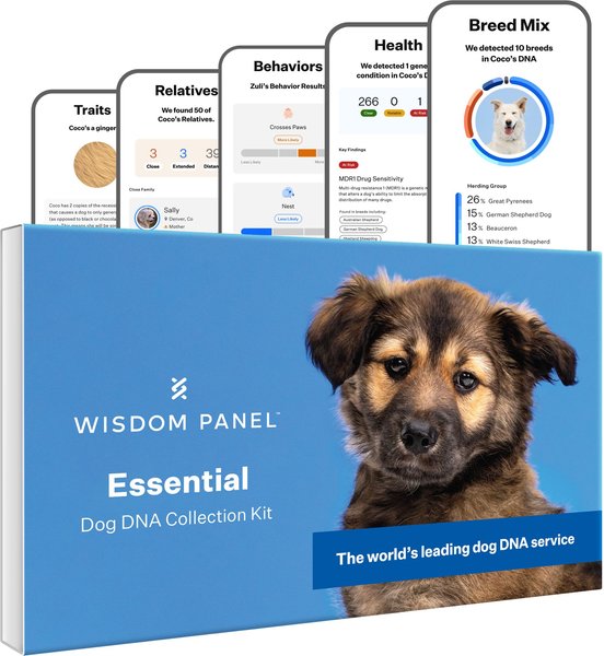 Show full view: Wisdom Panel Essential Breed Identification DNA Test for Dogs slide 1 of 8