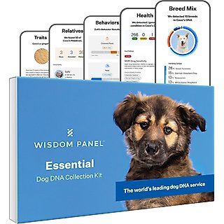 Wisdom Panel Essential Breed Identification DNA Test for Dogs slide 1 of 7