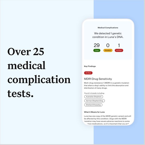 Show full view: Wisdom Panel Essential Breed Identification DNA Test for Dogs slide 3 of 8