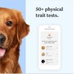 Show in main carousel: Wisdom Panel Essential Breed Identification DNA Test for Dogs slide 4 of 8