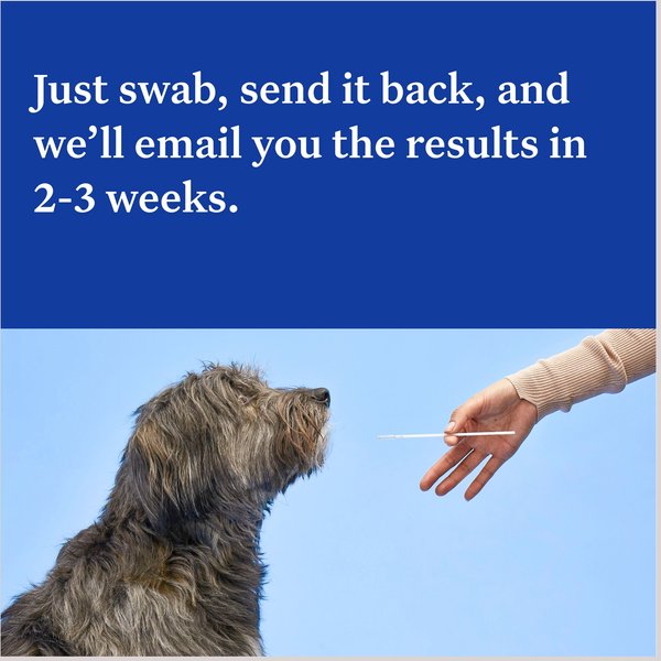 Show full view: Wisdom Panel Essential Breed Identification DNA Test for Dogs slide 5 of 8