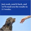 Show in main carousel: Wisdom Panel Essential Breed Identification DNA Test for Dogs slide 5 of 8
