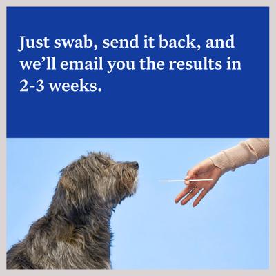 Show full view: Wisdom Panel Essential Breed Identification DNA Test for Dogs slide 6 of 9