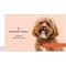 Show in main carousel: Wisdom Panel Premium Breed Identification & Health Condition Identification DNA Test for Dogs + Cat Complete DNA Test slide 2 of 9