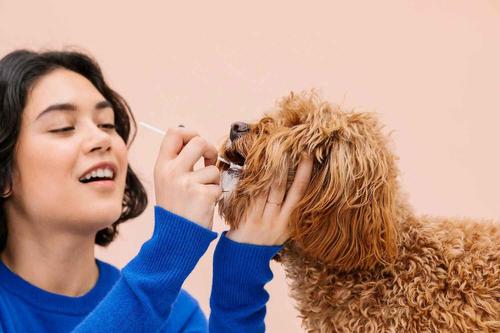 Show full view: Wisdom Panel Premium Breed Identification & Health Condition Identification DNA Test for Dogs + Cat Complete DNA Test slide 5 of 9