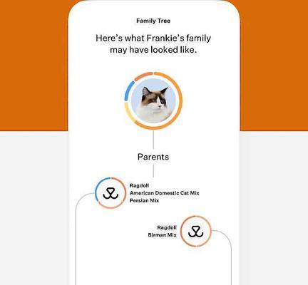 Show full view: Wisdom Panel Premium Breed Identification & Health Condition Identification DNA Test for Dogs + Cat Complete DNA Test slide 8 of 9