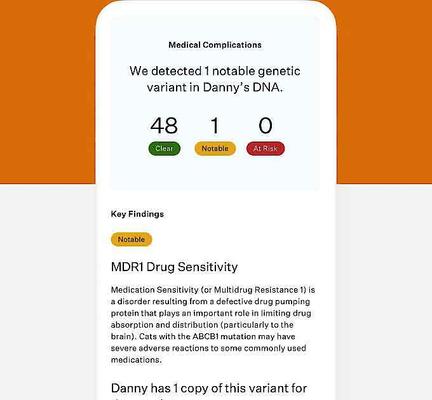 Show full view: Wisdom Panel Premium Breed Identification & Health Condition Identification DNA Test for Dogs + Cat Complete DNA Test slide 9 of 9