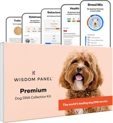 Wisdom Panel Premium Breed Identification & Health Condition Identification DNA Test for Dogs
