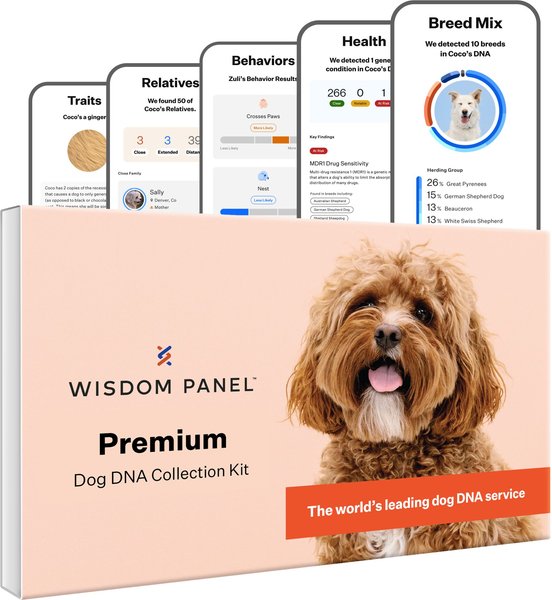 Show full view: Wisdom Panel Premium Breed Identification & Health Condition Identification DNA Test for Dogs slide 1 of 9