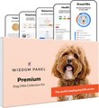 Wisdom Panel Premium Breed Identification & Health Condition Identification DNA Test for Dogs